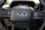 2023 F-150 Thumbnail 16