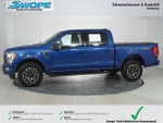 2023 F-150 Thumbnail 6