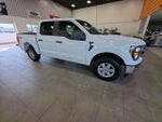 2023 F-150 Thumbnail 6
