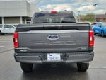2023 F-150 Thumbnail 5