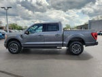 2023 F-150 Thumbnail 7