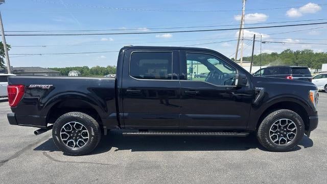 Preowned 2023 Ford F-150 XL for Sale