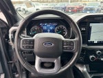 2023 F-150 Thumbnail 13
