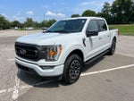 2023 F-150 Thumbnail 5