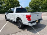 2023 F-150 Thumbnail 7