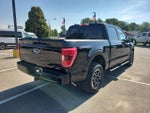 2023 F-150 Thumbnail 5