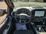 2023 F-150 Thumbnail 14