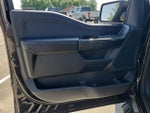 2023 F-150 Thumbnail 15