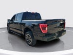 2023 F-150 Thumbnail 4