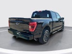 2023 F-150 Thumbnail 5