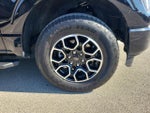 2023 F-150 Thumbnail 6