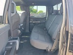 2023 F-150 Thumbnail 10