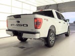 2023 F-150 Thumbnail 4