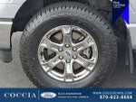 2023 F-150 Thumbnail 8