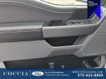 2023 F-150 Thumbnail 12