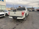 2023 F-150 Thumbnail 11