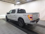 2023 F-150 Thumbnail 4