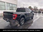 2023 F-150 Thumbnail 11