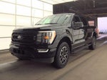 2023 F-150 Thumbnail 2