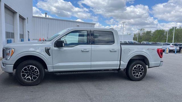 Preowned 2023 Ford F-150 XL for Sale