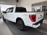 2023 F-150 Thumbnail 4