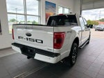2023 F-150 Thumbnail 6