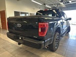 2023 F-150 Thumbnail 13
