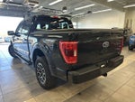 2023 F-150 Thumbnail 15