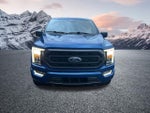 2023 F-150 Thumbnail 4