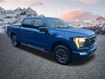 2023 F-150 Thumbnail 5