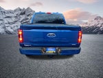 2023 F-150 Thumbnail 8