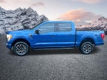 2023 F-150 Thumbnail 11