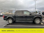 2016 F-150 Thumbnail 5