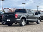 2017 F-150 Thumbnail 4