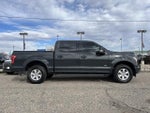 2017 F-150 Thumbnail 5