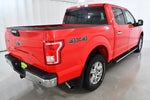 2017 F-150 Thumbnail 11
