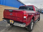 2018 F-150 Thumbnail 8