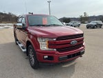 2019 F-150 Thumbnail 4
