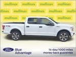 2019 F-150 Thumbnail 2