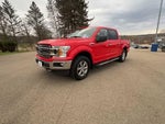 2019 F-150 Thumbnail 4