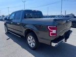 2019 F-150 Thumbnail 4