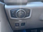 2019 F-150 Thumbnail 10