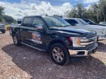2019 F-150 Thumbnail 3
