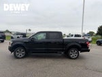 2019 F-150 Thumbnail 4