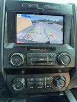 2019 F-150 Thumbnail 10