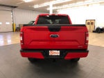 2019 F-150 Thumbnail 7