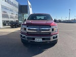 2019 F-150 Thumbnail 2