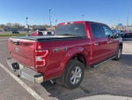 2019 F-150 Thumbnail 5