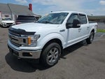 2019 F-150 Thumbnail 1