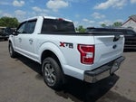 2019 F-150 Thumbnail 4